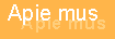 Apie mus